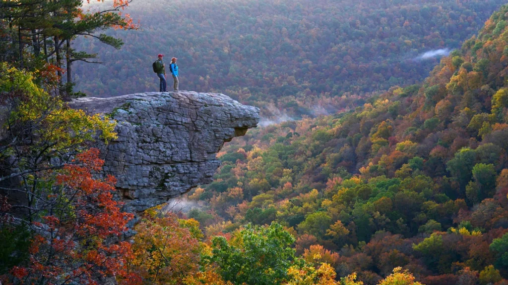 We buy junk cars for cash in Arkansas with free towing. Damaged vehicle removal service.
