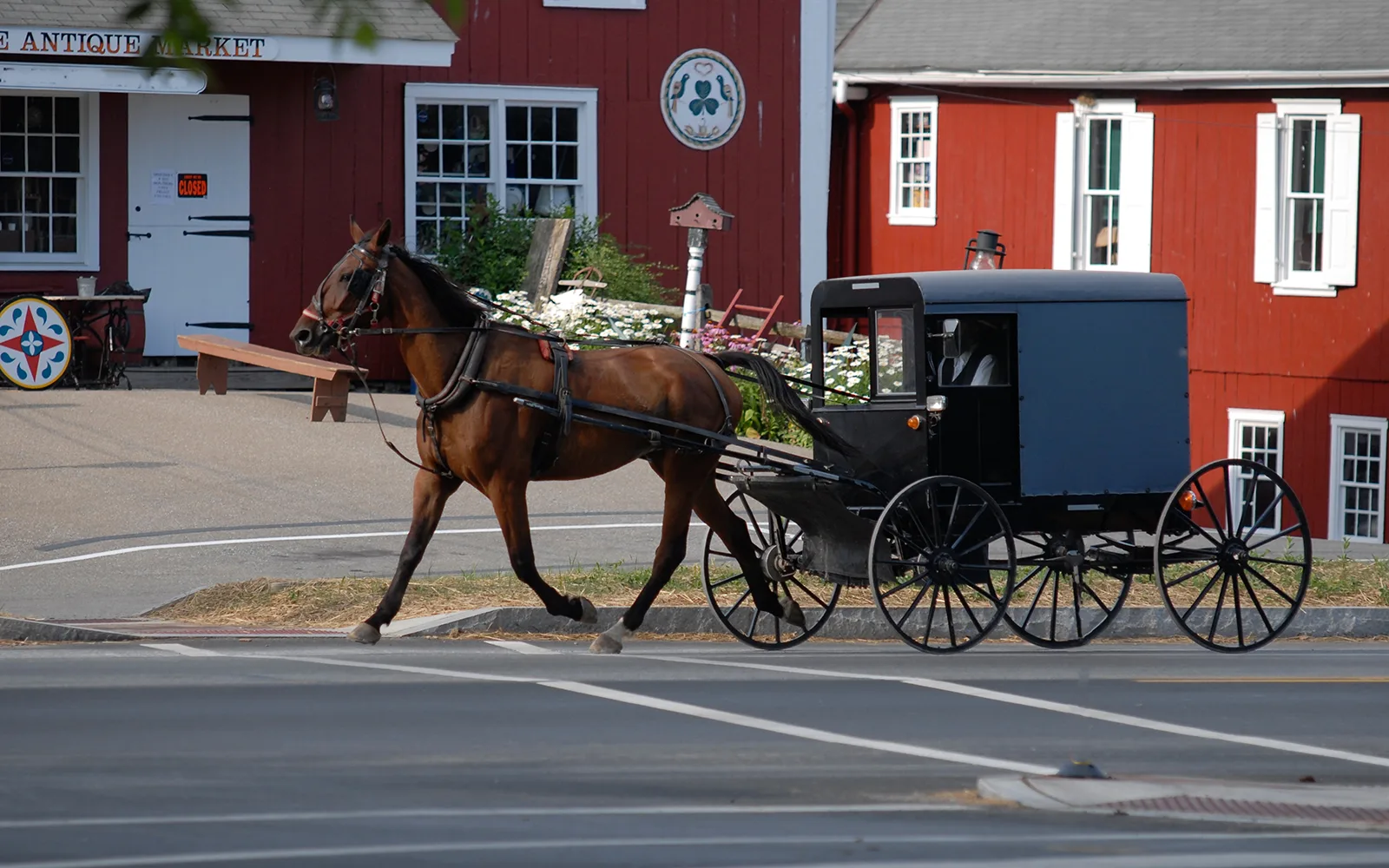 Horse and buggy on a country town road in Pennsylvania